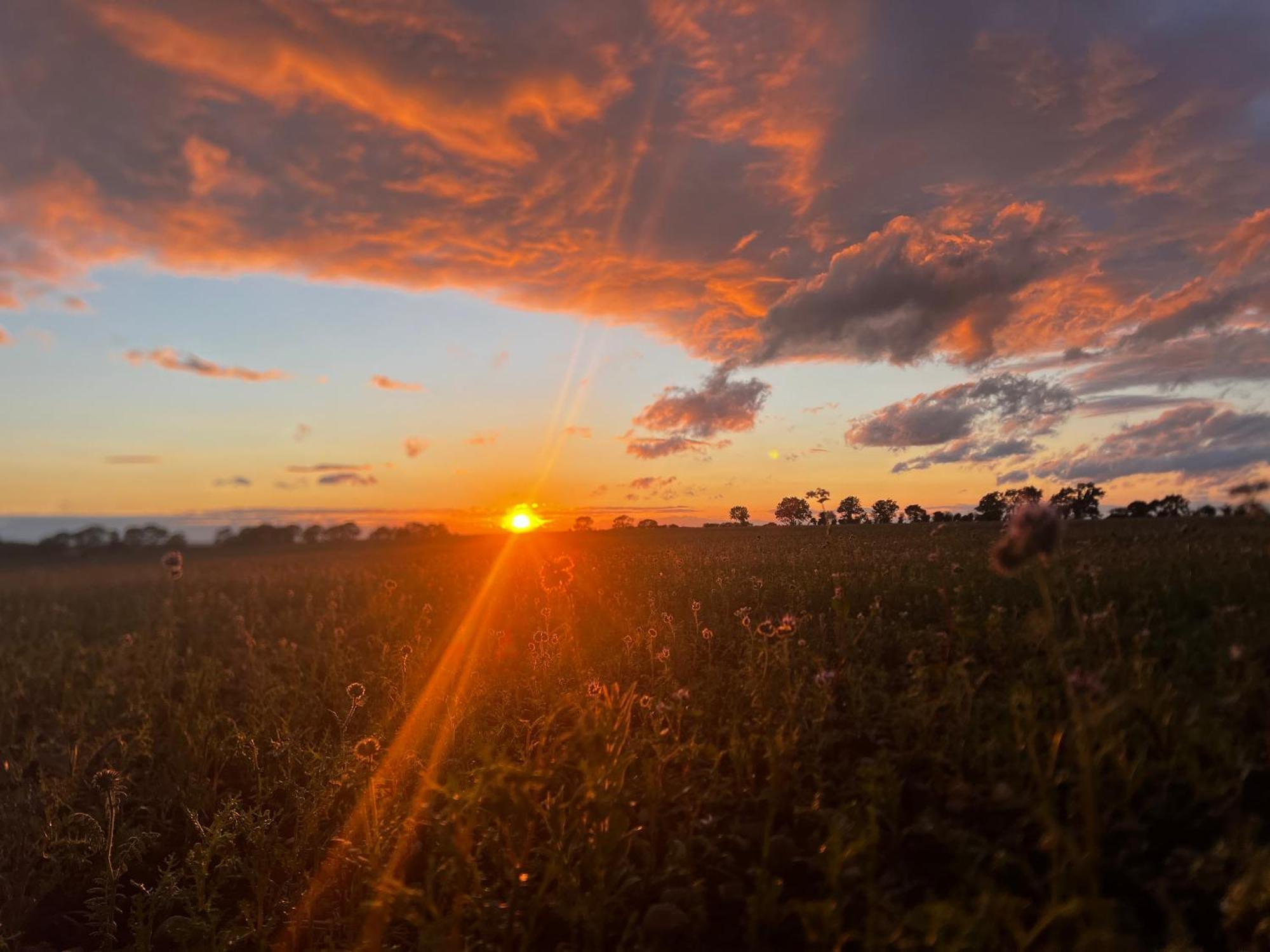 Готель Wellbet Farm Swinderby Екстер'єр фото